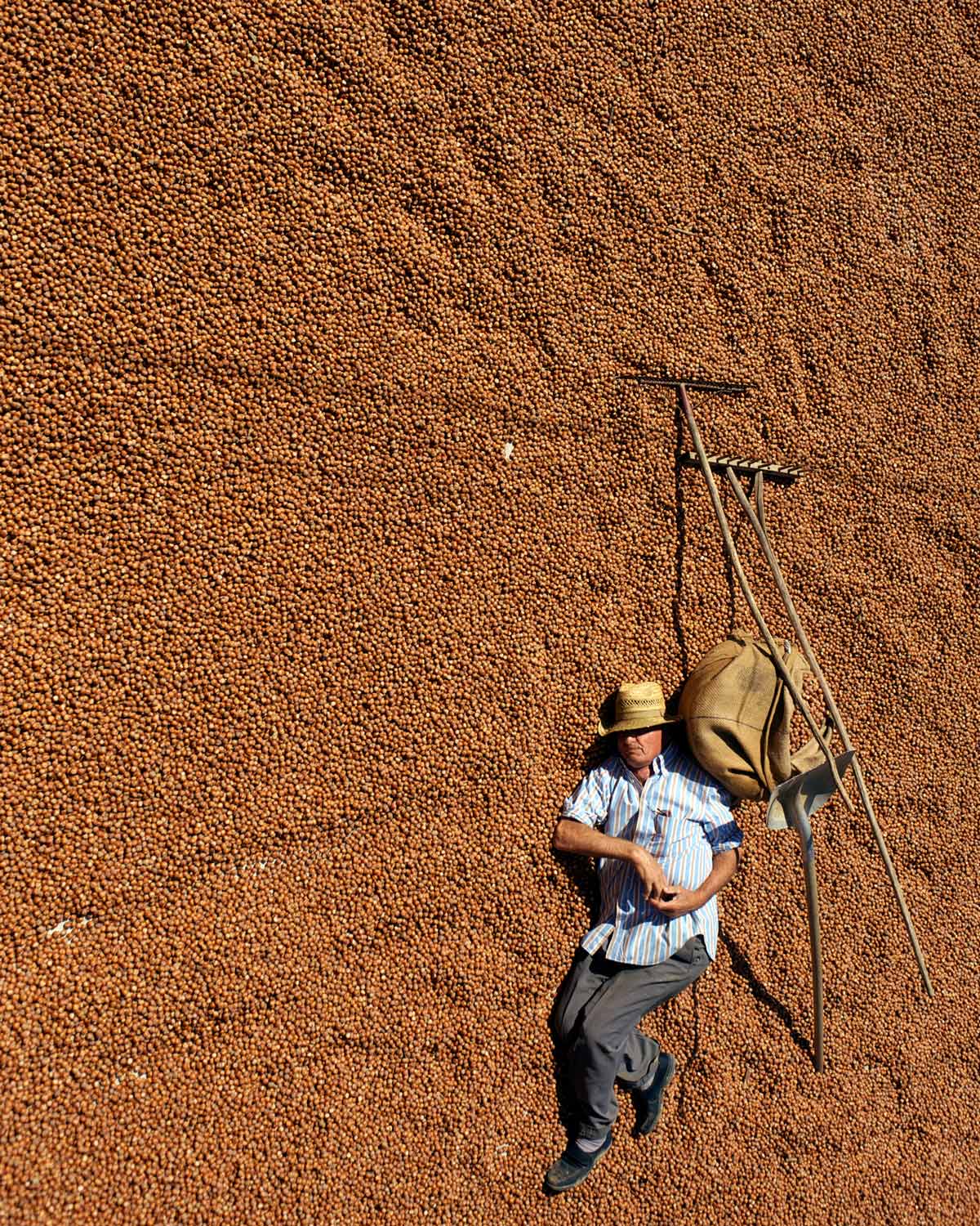 DOLCILANGHE_barolo_equio_berria_nocciole_made_in_italy_piemonte_6